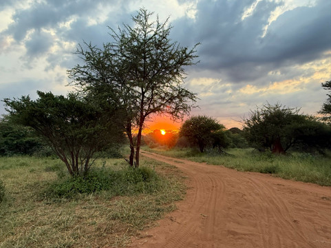 Karongwe Private Reserve-霍德斯普鲁特必去景点