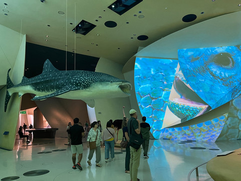 National Museum of Qatar-多哈必去景点