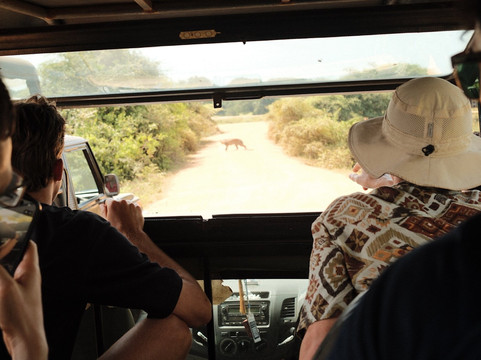 Roshan Safari-蒂瑟默哈拉默必去景点