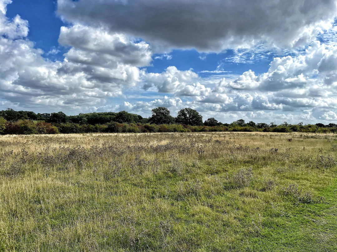 Bobbingworth Nature Reserve-Moreton必去景点