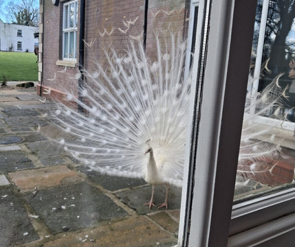 登纳德里花园酒店主图