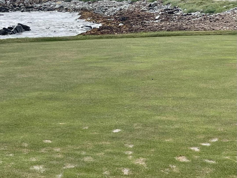 Air Adventure Golf-埃森登必去景点