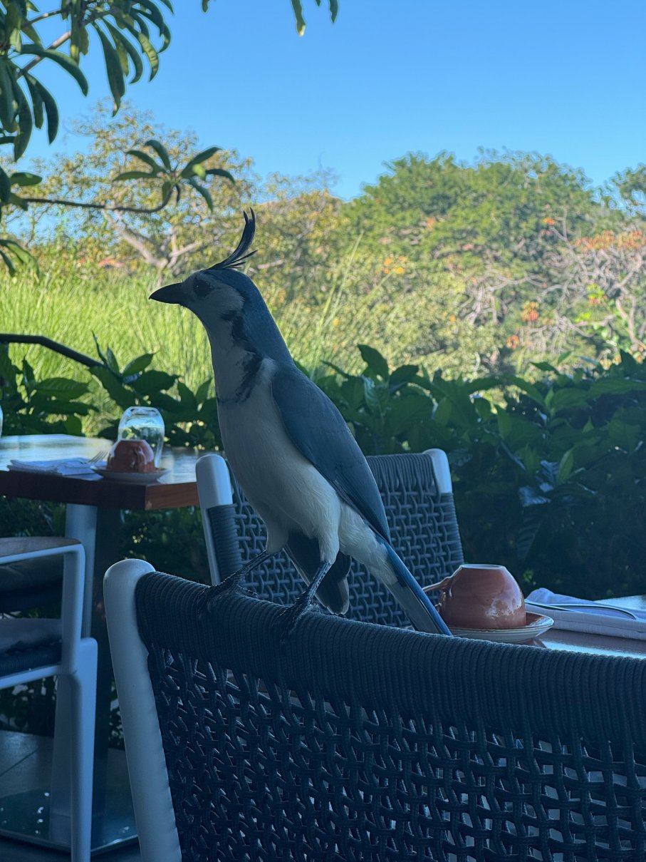 哥斯达黎加W酒店-莱瑟瓦康洽尔-浴室