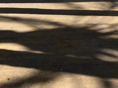 Parc d'Elx-贝尼多姆必去景点