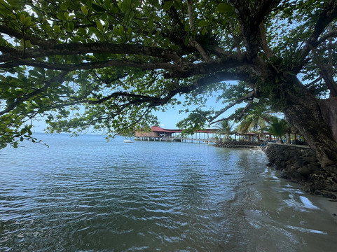 Golden Frog Scuba-Portobelo必去景点