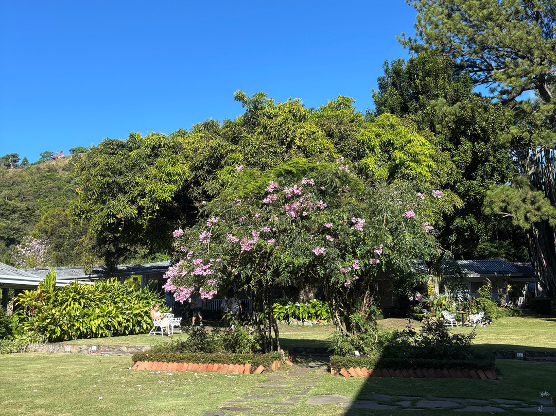 帕拉玛特酒店主图