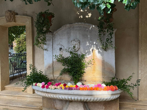 盖丽希水疗别墅酒店主图