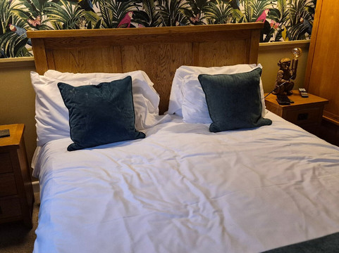 天鹅汽车旅馆主图