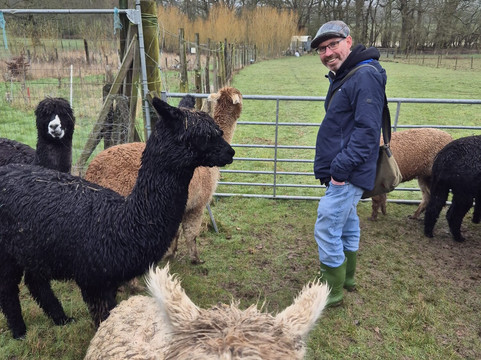 London Alpacas-Epping必去景点