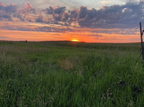 Deep South Pioneer Museum-Ogema必去景点