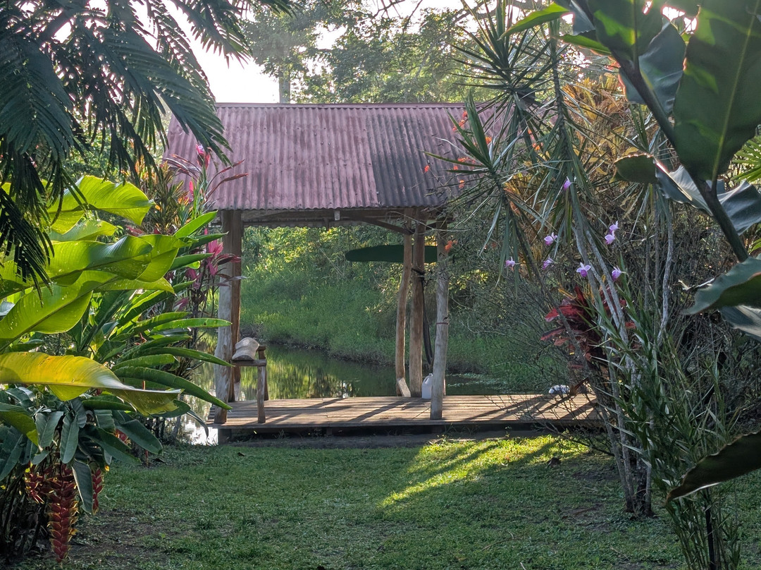 Green Gold Ecolodge