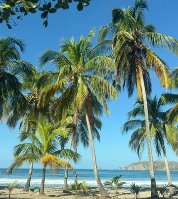 Surf Bikini Retreat-诺萨拉必去景点