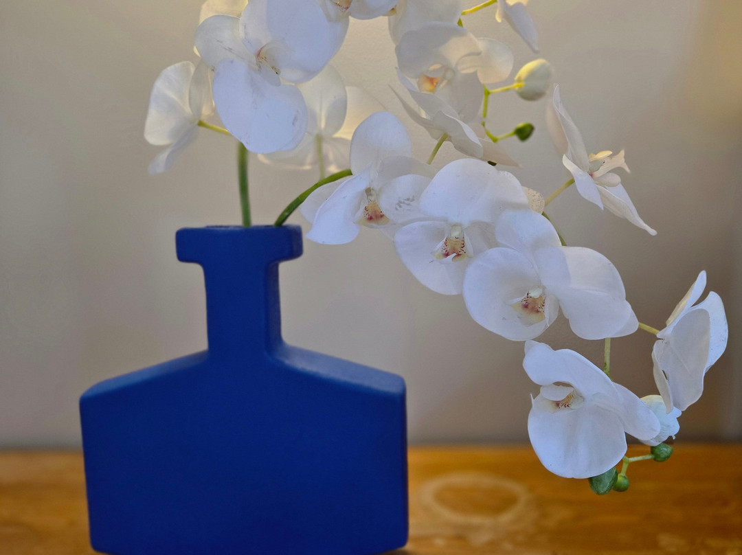 拉克洛斯普拉丁斯酒店主图