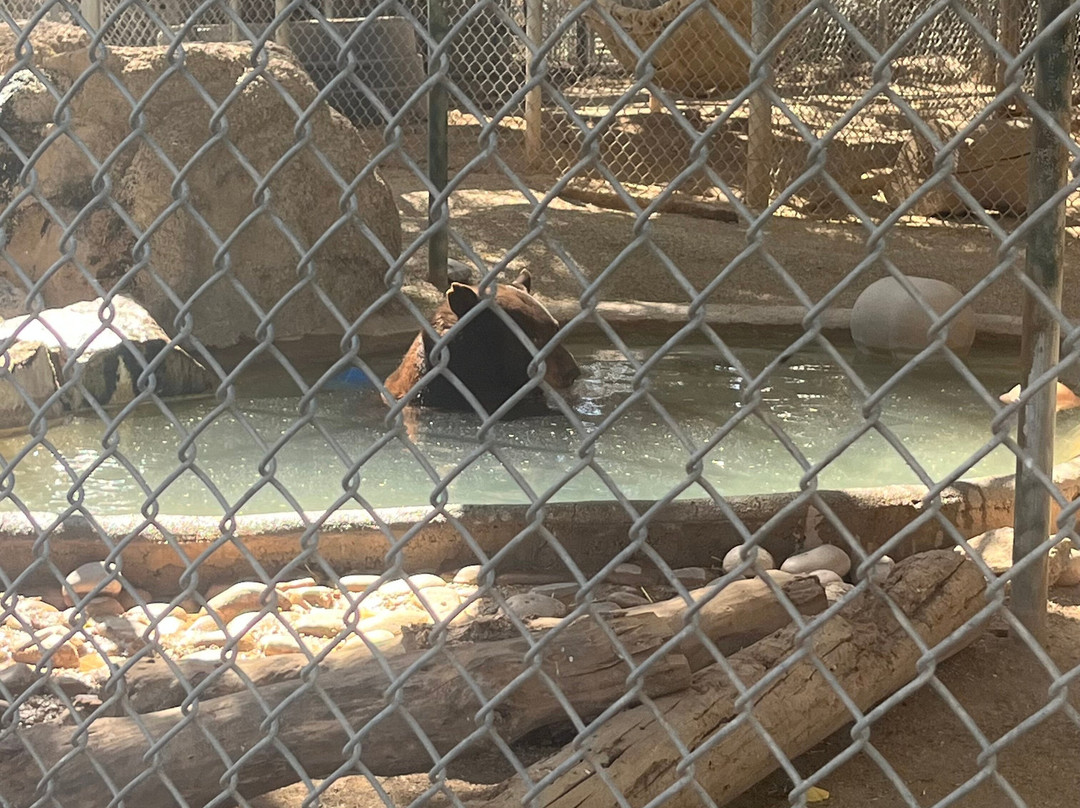 Southwest Wildlife Conservation Center-斯科茨代尔必去景点