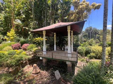 Royal Botanic Gardens Peradeniya-康提必去景点