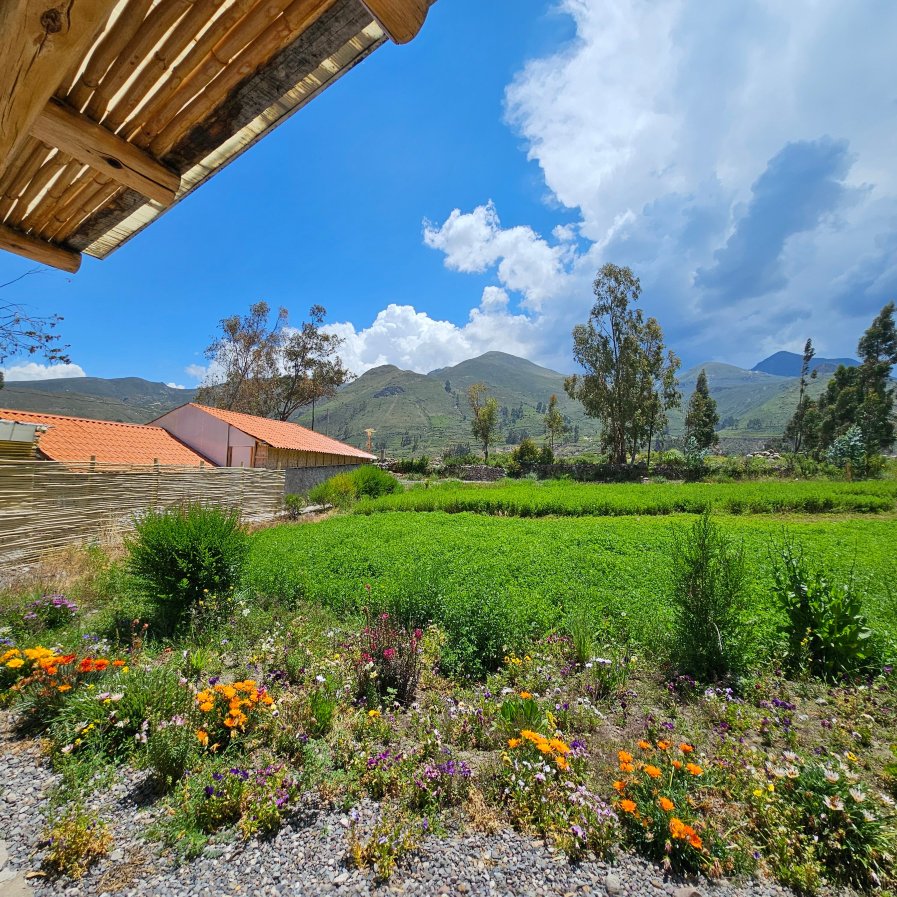 齐拉瓦斯山林小屋-官方