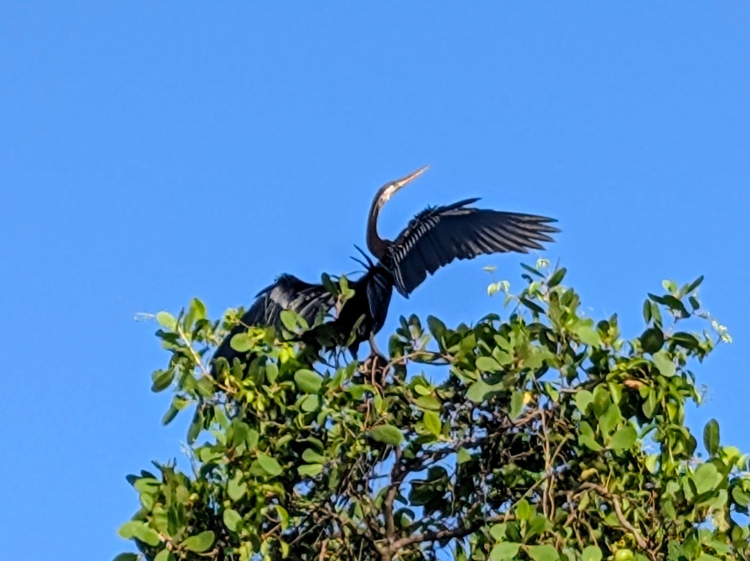 Kalametiya Bird Watching & Ecotourism-Kalametiya必去景点