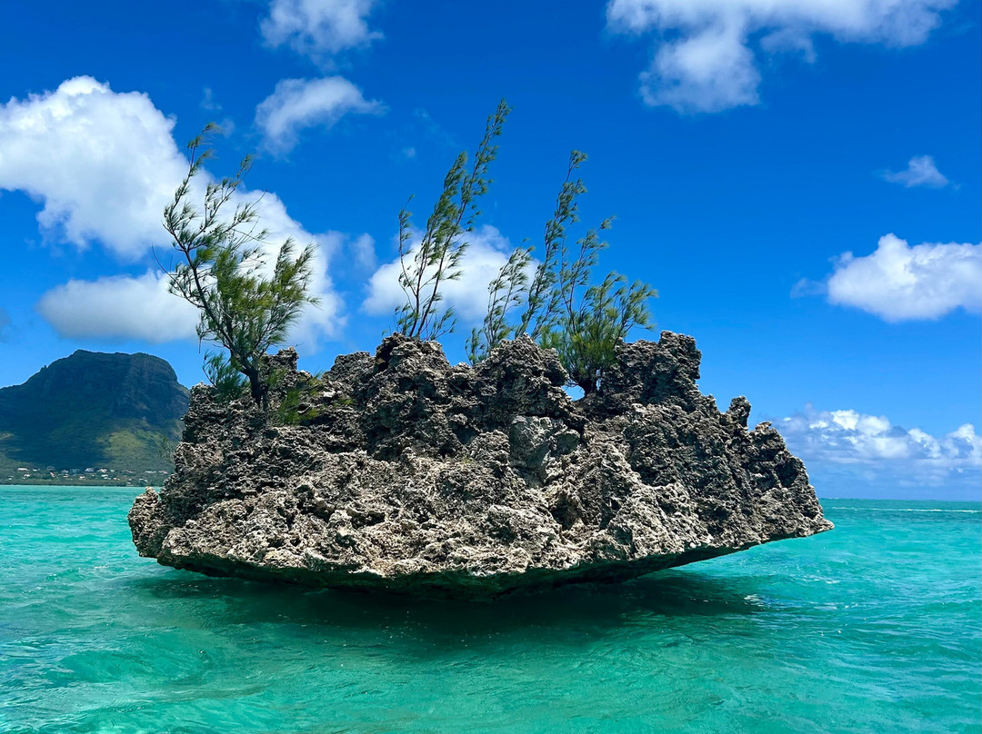 Dream Dolphin-黑河必去景点