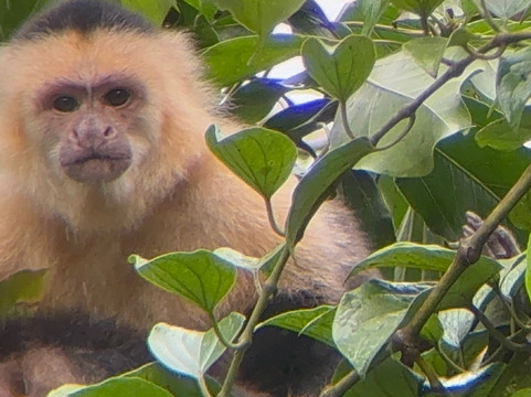 Allan Explorer-Upala必去景点