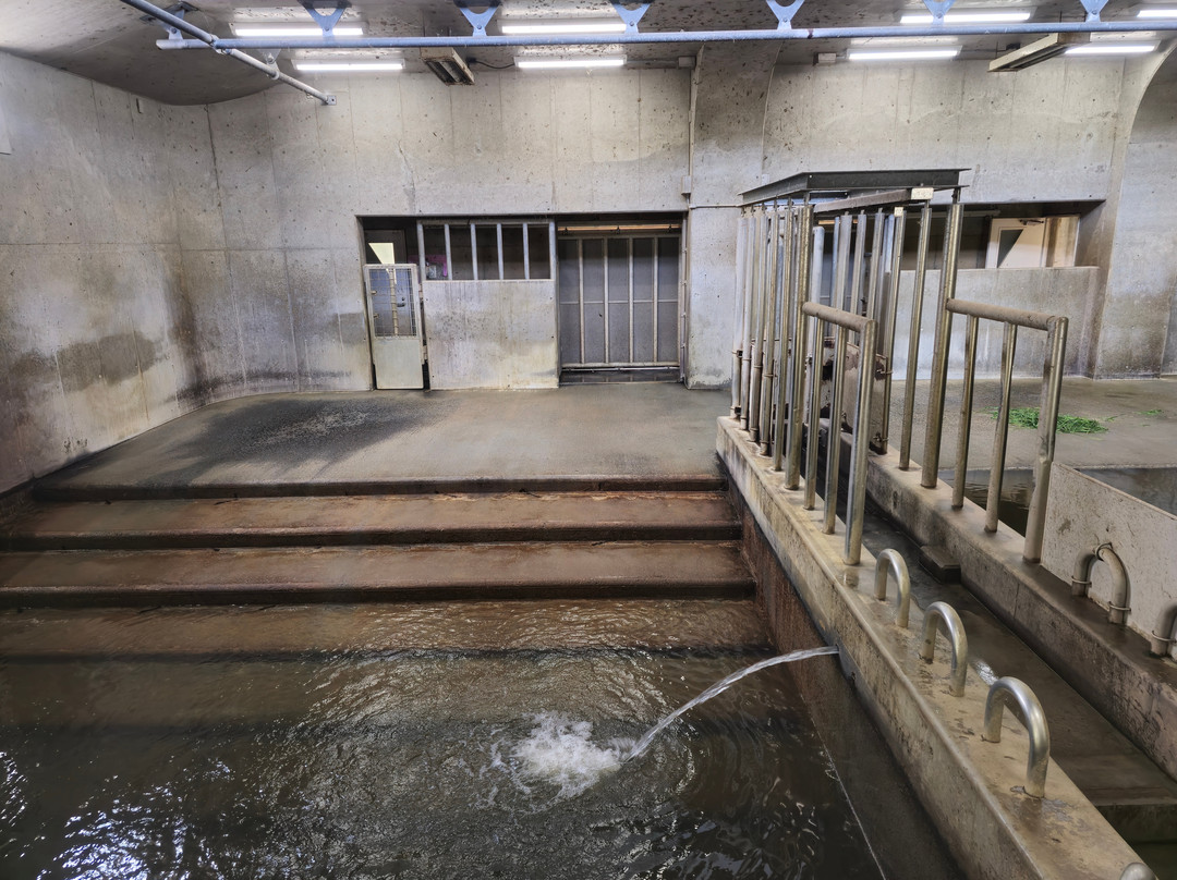 神户市立王子动物园-神户市必去景点