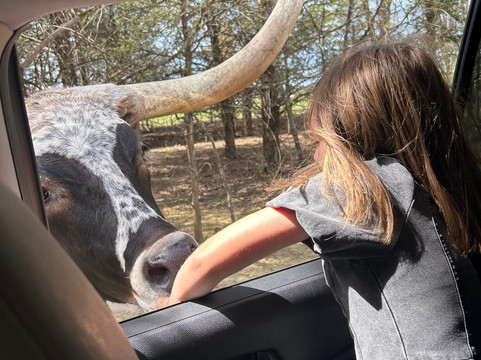 Texas Zoofari Park-Kaufman必去景点