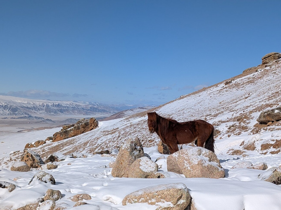 Kazakh Tour-Olgiy必去景点
