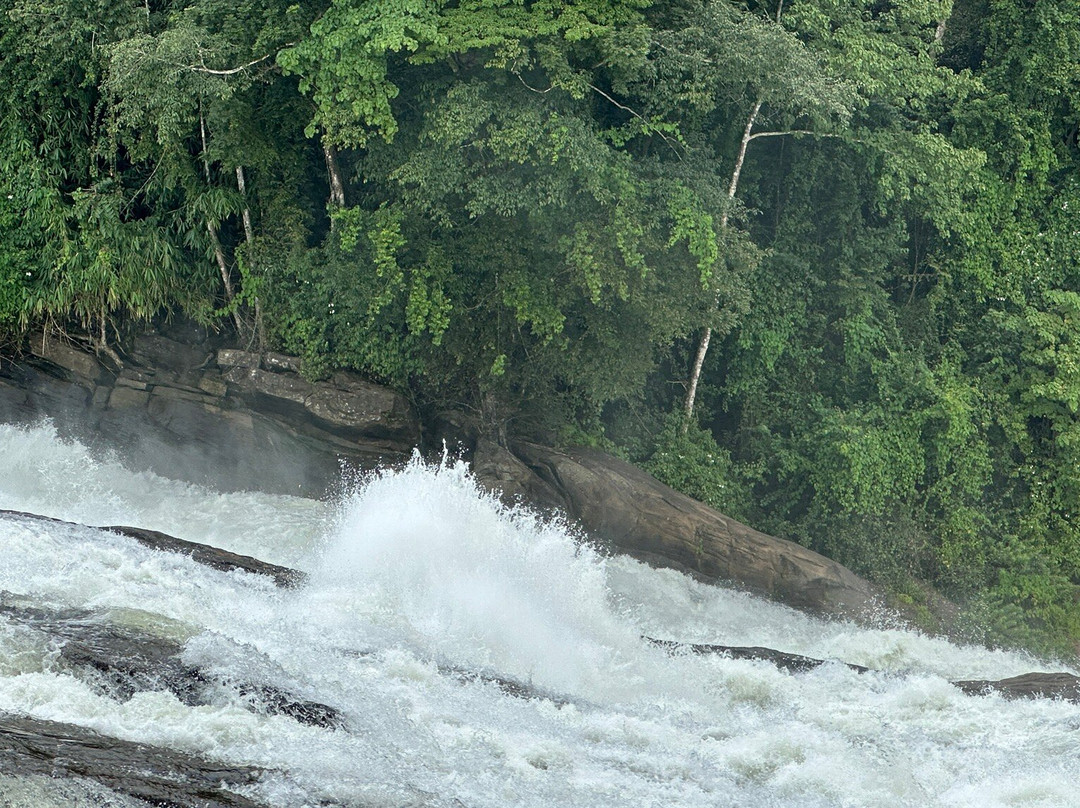 Vazhachal Waterfalls-德里久尔必去景点