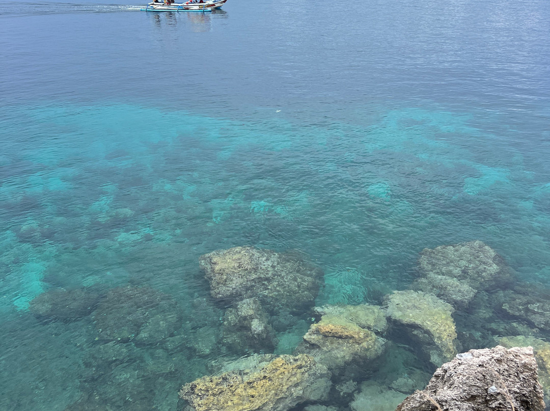 Menjangan Tour Snorkeling & Diving-Pejarakan必去景点