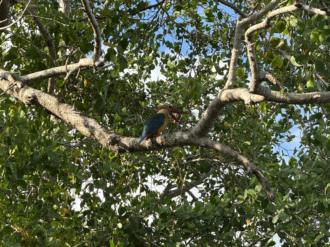 Eddy's Expeditions-加勒必去景点