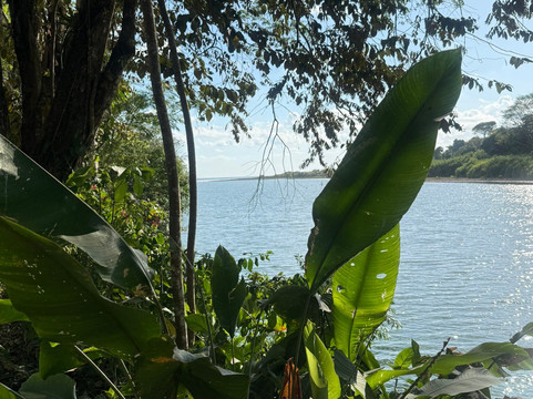 Dominical Surf School-主日镇必去景点