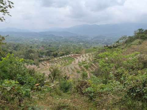 阿瓦娜度假村主图