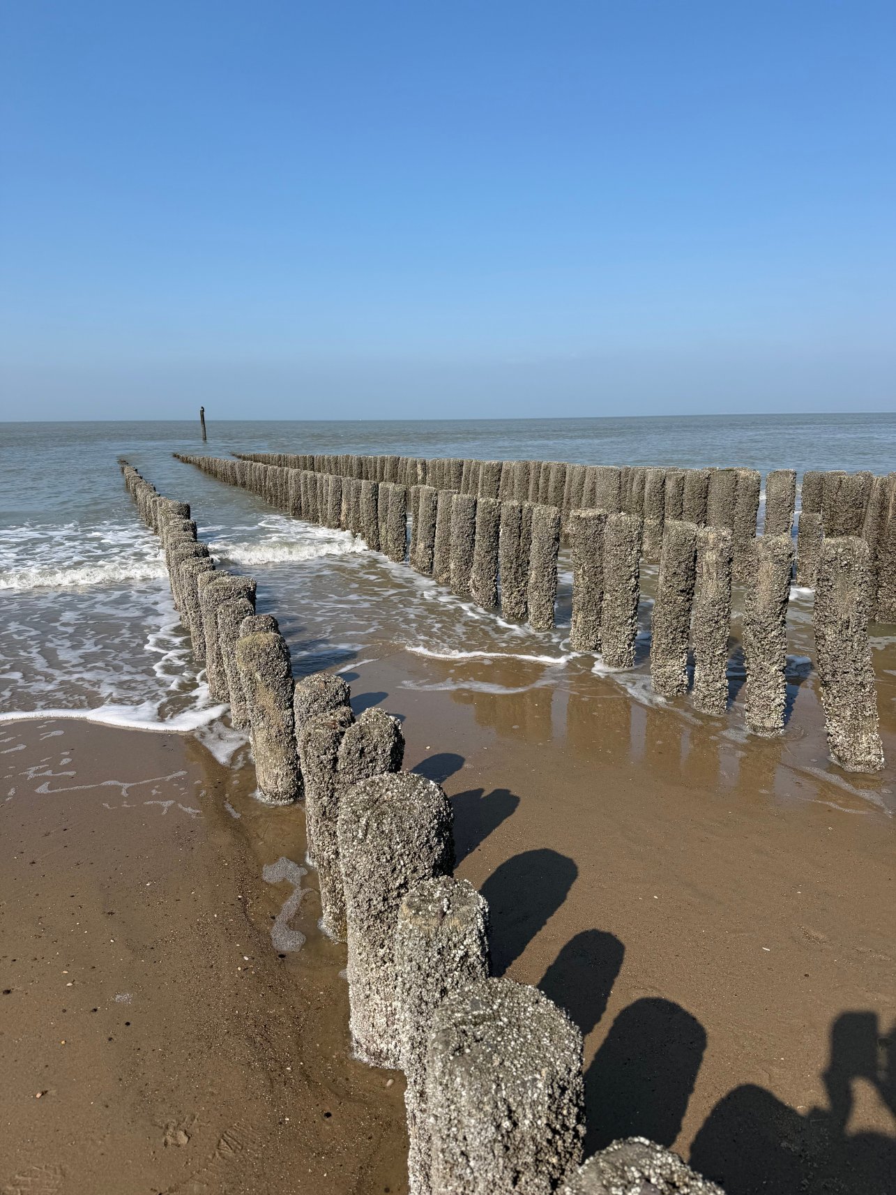 Hotel Du Commerce-官方