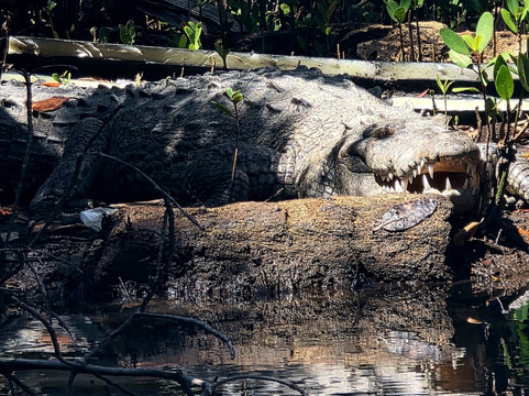 Santi Tour-普拉亚德尔卡曼必去景点