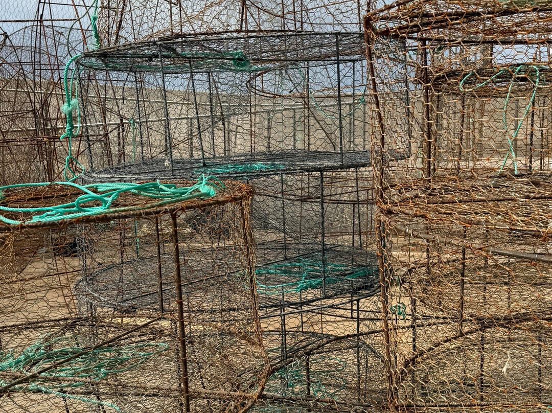 Old Town Harbour-卡门港必去景点