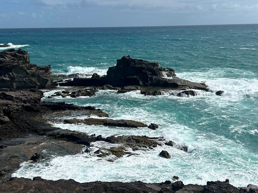 Presqu'ile de la Caravelle-Tartane必去景点