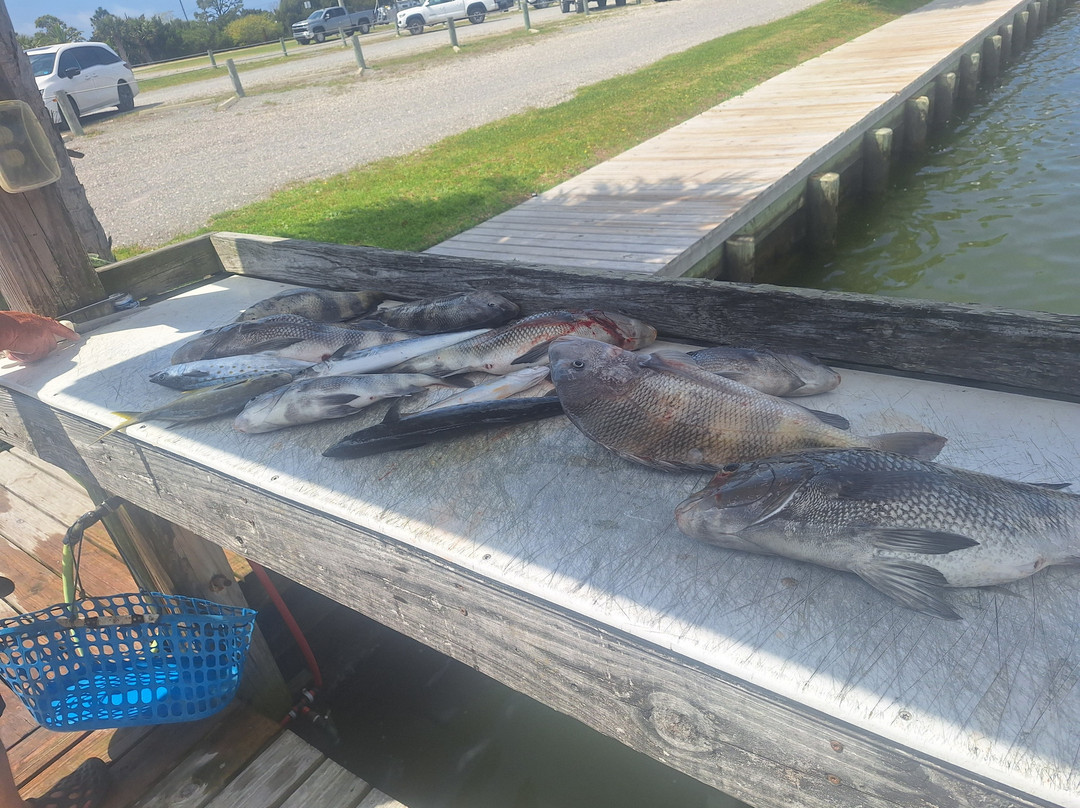 Underdog Fishing Charters-Dauphin Island必去景点