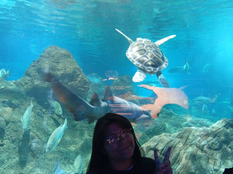 Acuario Michin Puebla-普埃布拉必去景点