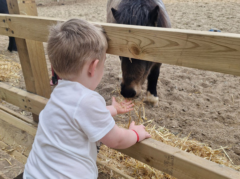 Quex Adventure Farm Park-Birchington必去景点