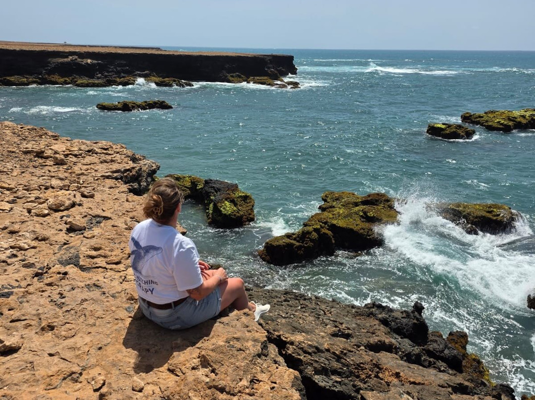 Boa Vista Tours-博阿维斯塔必去景点