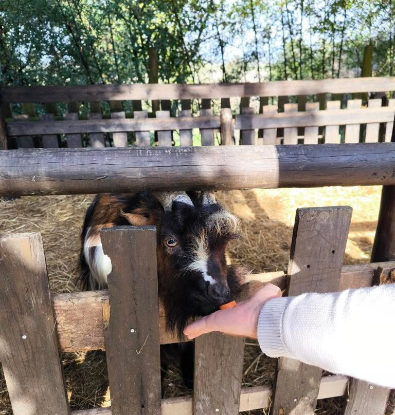 Escola Equestre de Aveiro | Quinta Pedagógica & Escola Equestre-阿威罗必去景点