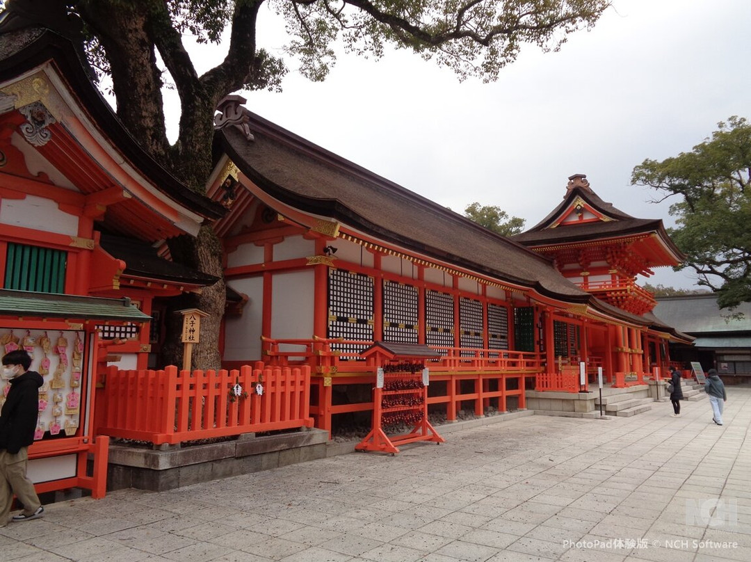 Usajingu Shrine-宇佐市必去景点