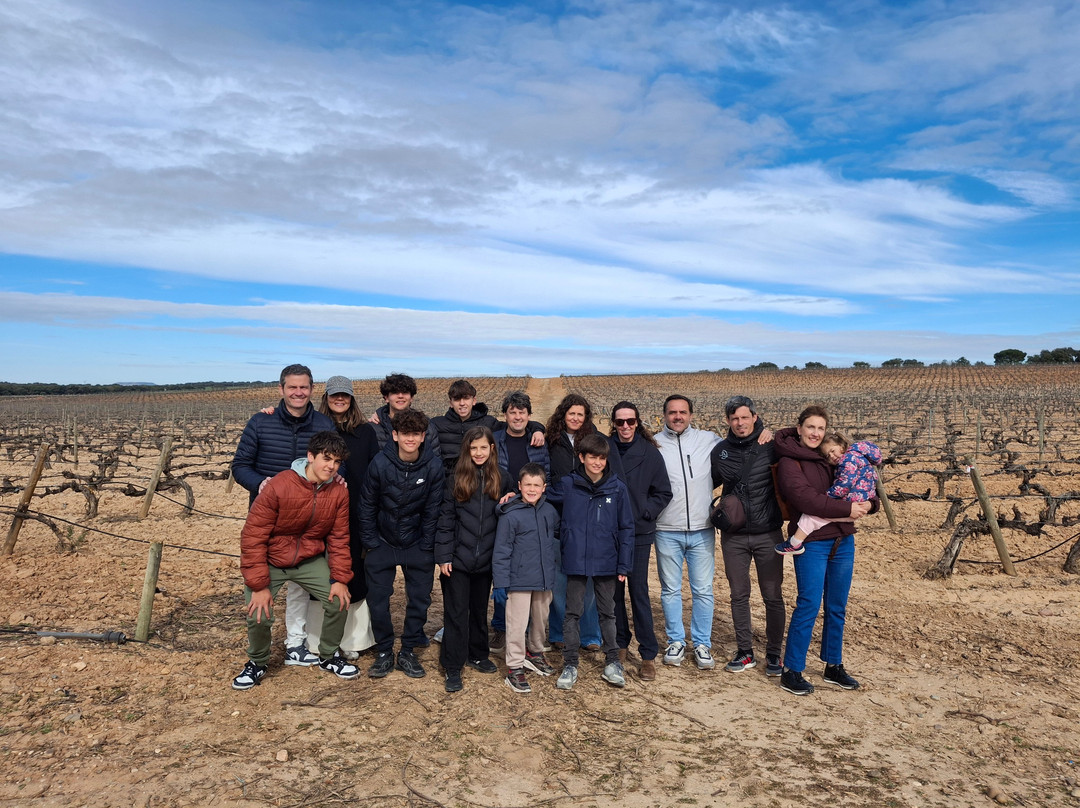 Bodegas Y Vinedos PradoRey-Gumiel Del Mercado必去景点