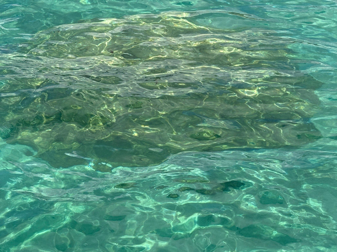 Beluga Tours-东南大河必去景点