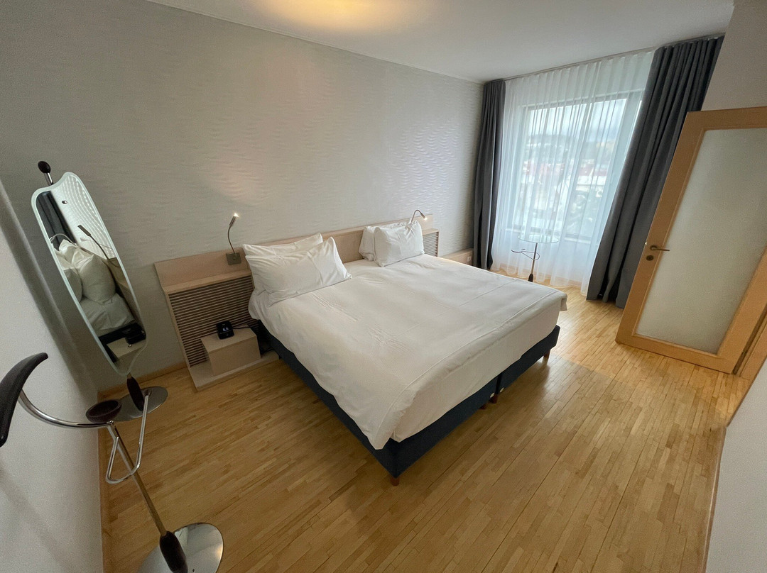 克卢日城市广场希尔顿逸林酒店主图