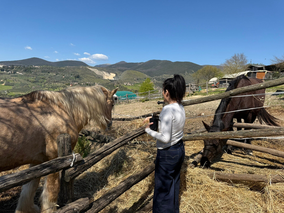 Sulla Collina di Castelnuovo di Farfa-Castelnuovo di Farfa必去景点