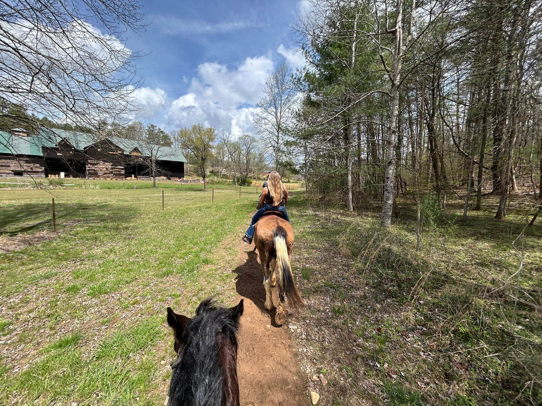 Appalachian Trail Rides-Mineral Bluff必去景点