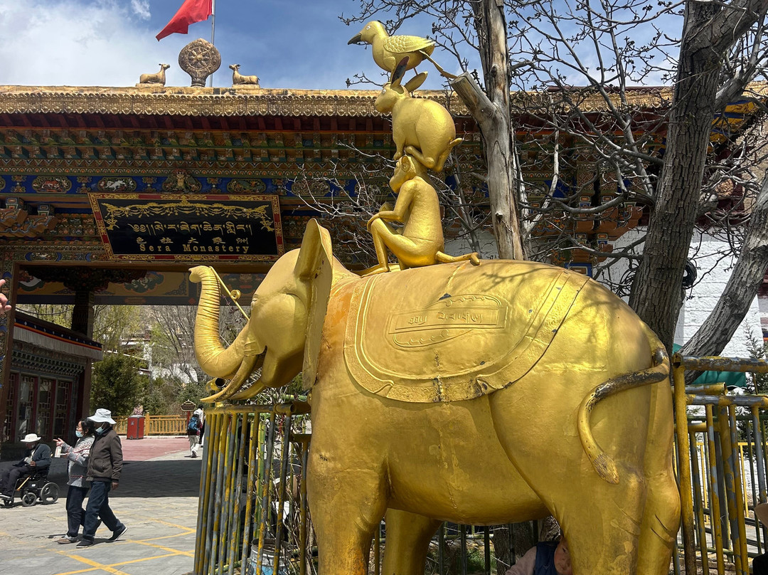 Xizang Vista-拉萨市必去景点