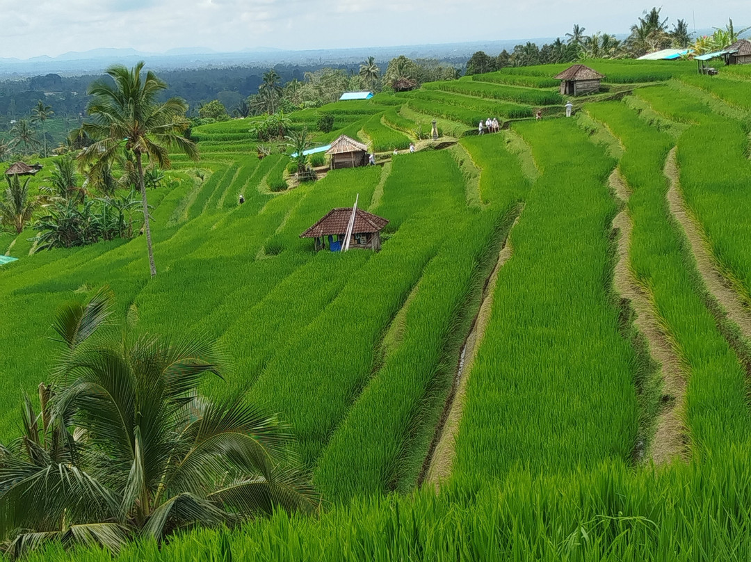 Tour Guide Bali-库塔必去景点