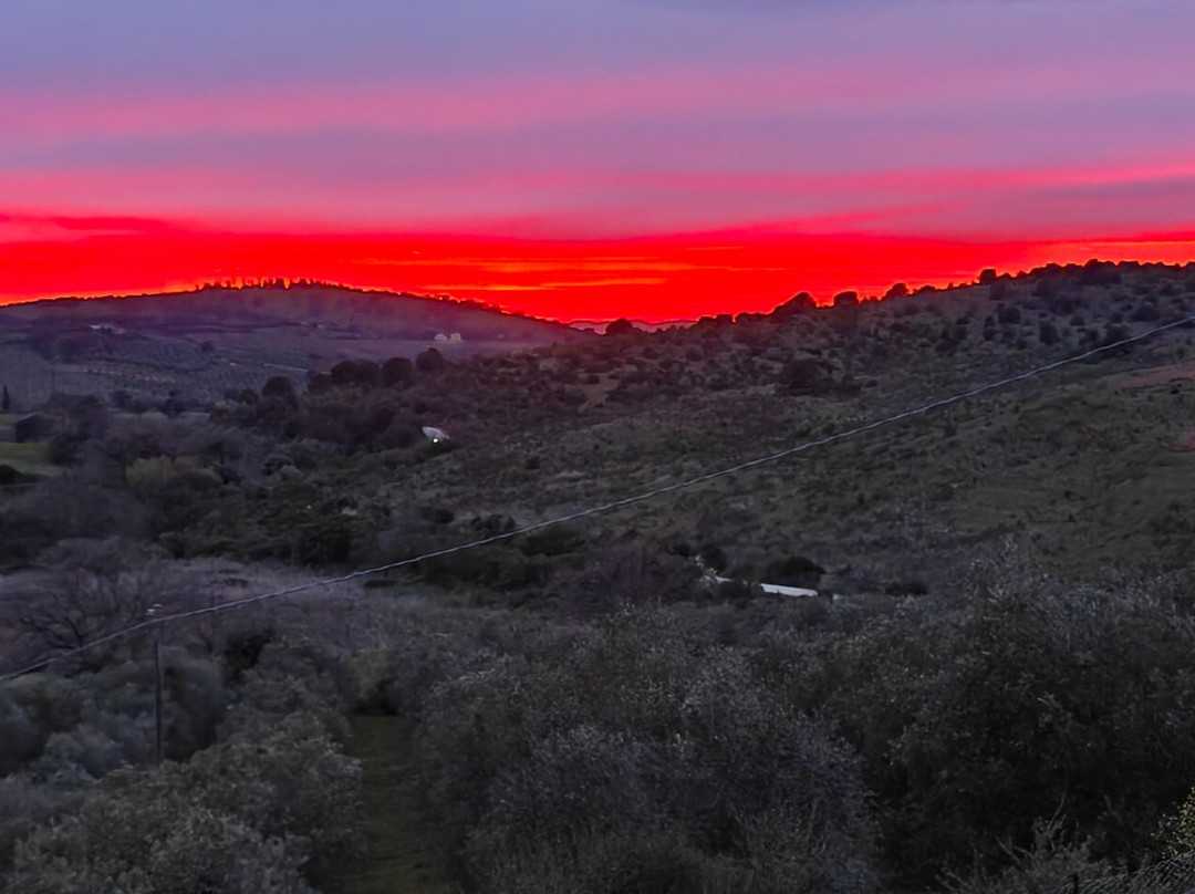 Agriturismo Lo Scalandrino 农家乐主图