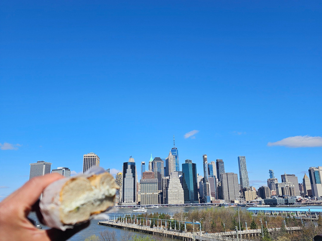Intrepid Urban Adventures - New York City-纽约市必去景点